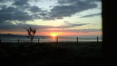 newabbey2's profile picture. Finally living the rural life i have always craved.