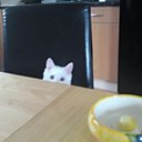 Hugh Montgomery - @e4a7241d31cd434 - Twitter