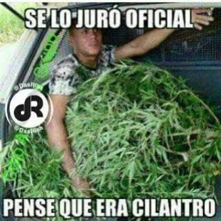 William55679957's profile picture. 