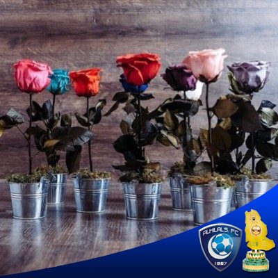 T_Binsaeed's profile picture. اللهم اجعلها شفيعه لي واجمعني بها في جناتك واجبرني لفراقها(صيته)اللهم احفظ لي ابني(صالح💙)