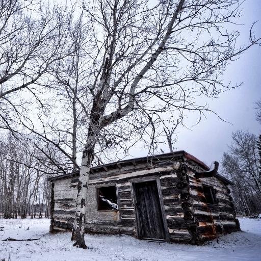 HADRIAOUSSAMA's profile picture. 