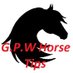 G.P.W Horse Tips (@WaltonTipping) Twitter profile photo