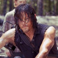 Daryl Dixon (@songbirdsarcher) 's Twitter Profile Photo Daryl Dixon (@songbirdsarcher) 's Twitter Profile Photo