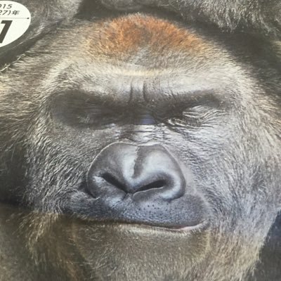 99aQoyG5qCiaNqJ's profile picture. 