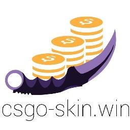 csgoskin_win's profile picture. 