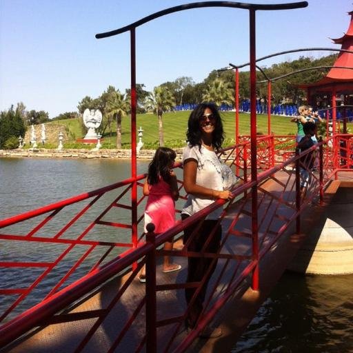 PassasMaria's profile picture. Sou como sou...amo de paixão os meus! Co-Owner @good4lifefamily  #bevegetarian #MétodoDeRose #positivepsicology