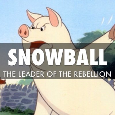 Snowball (@__Snowball_) / Twitter Snowball (@__Snowball_) / Twitter