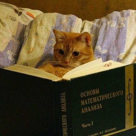 hstw5's profile picture. 