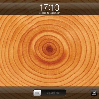 LynnKarsijns's profile picture. 