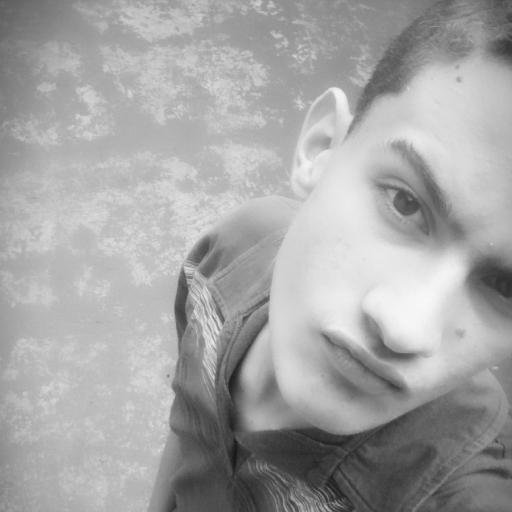 msrocha349's profile picture. 