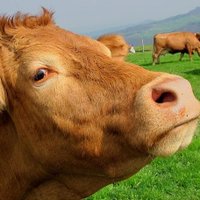 Farming News (@farmingnews) 's Twitter Profile