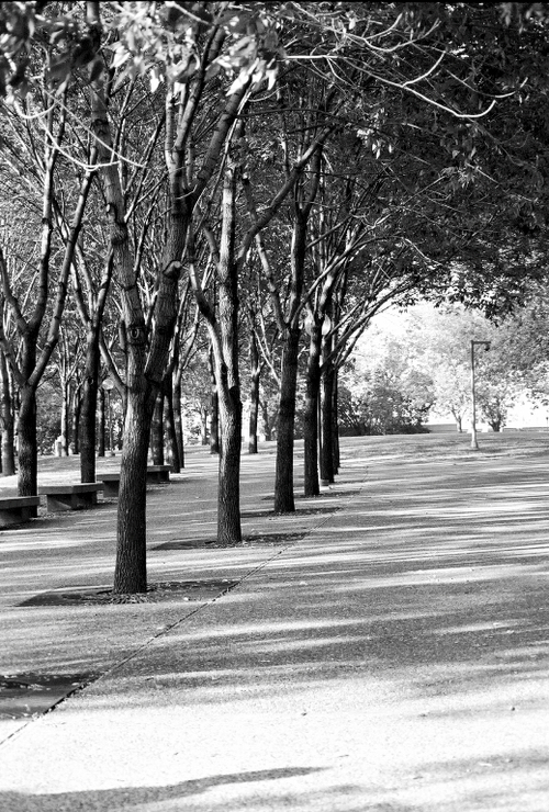 zentralsta's profile picture. Maladjusted soccer mom.