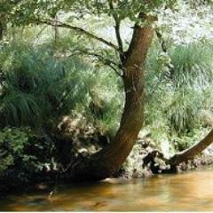 ghislaineSudOue's profile picture. 