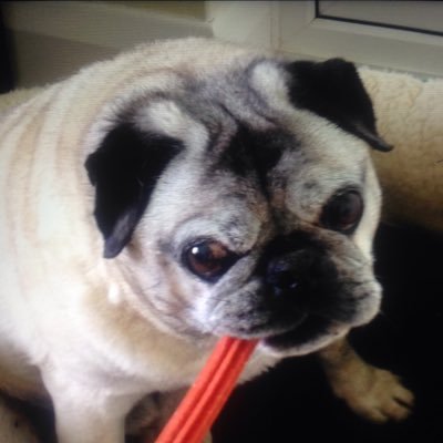 duddyboydude's profile picture. 