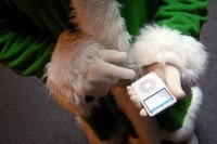 GreenChristmas's profile picture. DM Santa with links and ideas on how to promote a sane sustainable holiday season! Let's share with everybody!