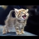 Ariana Morales - @ArianaM32394569 - Twitter