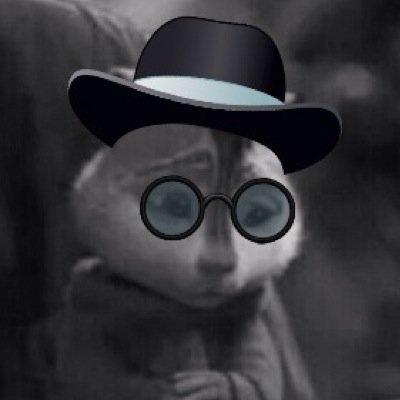 This is my old account. Please go and follow @Austin_Chipmunk.