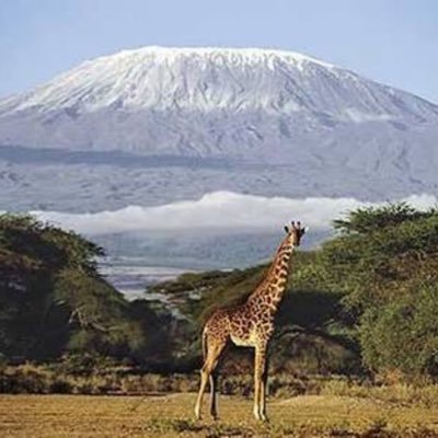 kilimanjaro