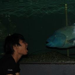 BraindSteal's profile picture. only a boy like traveling and eating