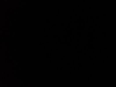 EDWA1297RYAN's profile picture. 