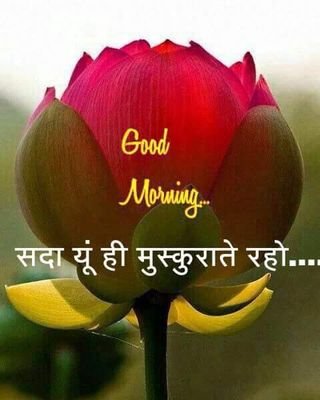 DograSumeer's profile picture. 