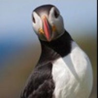 Alain Bivel ๐๐๐ป๐ช๐บ ๐ซ๐ท (@bivelalain) 's Twitter Profile Photo Alain Bivel ๐๐๐ป๐ช๐บ ๐ซ๐ท (@bivelalain) 's Twitter Profile Photo