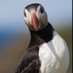 Alain Bivel 💙💛🌻🇪🇺 🇫🇷 (@bivelalain) Twitter profile photo Alain Bivel 💙💛🌻🇪🇺 🇫🇷 (@bivelalain) Twitter profile photo