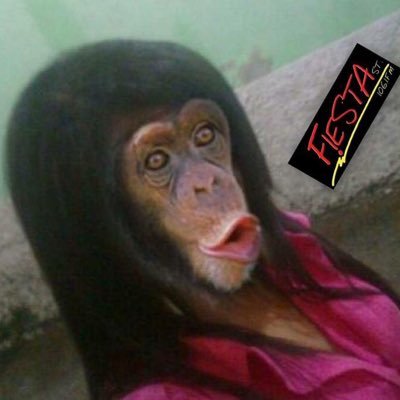 Soy una mujer que siempre esta dispuesta a todo y sobre todo que siempre tiene las piernas abiertas a cualquier pene :)