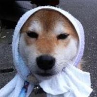 kan 《いいねが消える不具合中🙇‍♂️》 (@gonzakonan) 's Twitter Profile Photo