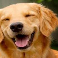 ekan_emesawik18's profile picture. 