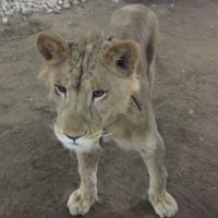 jojo (@qne0697brk4qna9) 's Twitter Profile