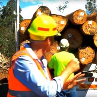 Vic Forests (@vic_forests) 's Twitter Profile