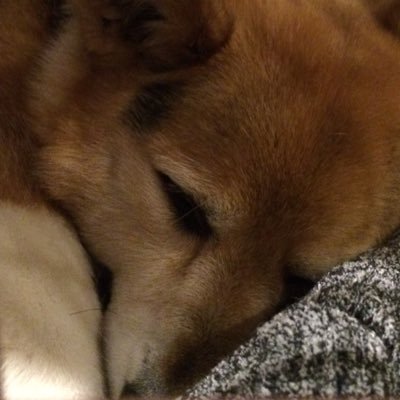 karubaokurain's profile picture. Now Loading...