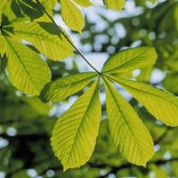 Burpham Primary (@burphamps) 's Twitter Profile