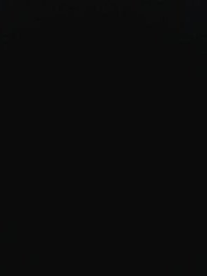 rayfalahh's profile picture. 