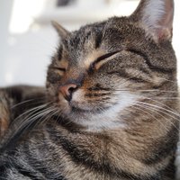 @S7 (@market_q) 's Twitter Profile