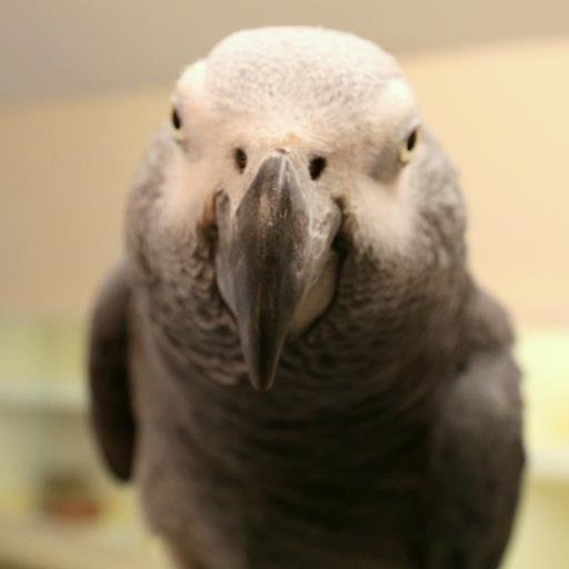 An independent pet shop with fifty years experienced.