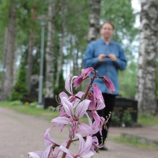 jkaartinen's profile picture. 