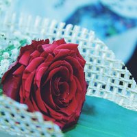 حليم (@znmbsfgjksjn) Twitter profile photo