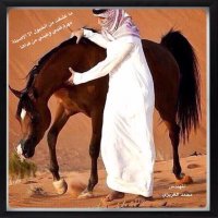 المهندس محمد العزيزي (@2msa) 's Twitter Profile