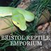 ReptileEmporium (@bristolreptile) Twitter profile photo ReptileEmporium (@bristolreptile) Twitter profile photo