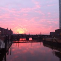 S Hardinghaus (@shardinghaus) Twitter profile photo