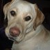 Amanda Oughton (@ginger_bookgeek) Twitter profile photo Amanda Oughton (@ginger_bookgeek) Twitter profile photo