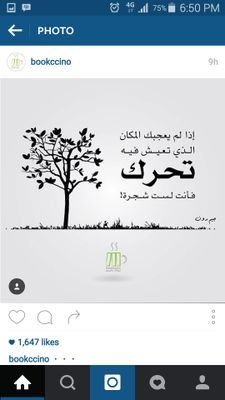 sara_al_almaee's profile picture.