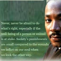 beNonconform's profile picture. To see clearly, it's often enough to change the direction of view
Antoine de Saint-Exupéry