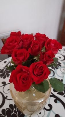 AlouachSara's profile picture. 