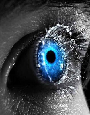 blackroses3577's profile picture. 