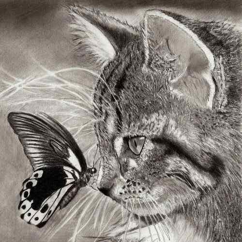 StudioAbdo24's profile picture. Hello