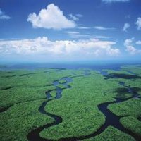 The Everglades (@evergladesnp) 's Twitter Profile