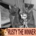 We are sisters Poppy & Ella, we are cheeky grey & peach kitty cats. We like playing, eating, sleeping, being naughty and annoying hoomans